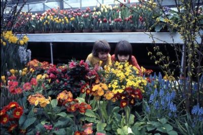 Two children in a greenhouse looking at flowers.