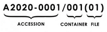 Example retrieval code showing accession, container, and file portions of the code.